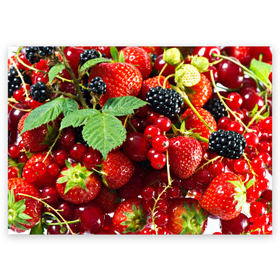 Поздравительная открытка с принтом Любимые ягоды в Екатеринбурге, 100% бумага | плотность бумаги 280 г/м2, матовая, на обратной стороне линовка и место для марки
 | вкусно | голубика | дача | деревня | ежевика | зелень | клубника | малина | огород | полезно | сад | смородина | сок | фрукты | черника | шиповник | ягоды