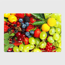 Магнитный плакат 3Х2 с принтом Вкусные ягоды в Екатеринбурге, Полимерный материал с магнитным слоем | 6 деталей размером 9*9 см | виноград | вкусно | голубика | дача | деревня | ежевика | клубника | малина | огород | полезно | рябина | сад | смородина | сок | фрукты | черника | ягоды