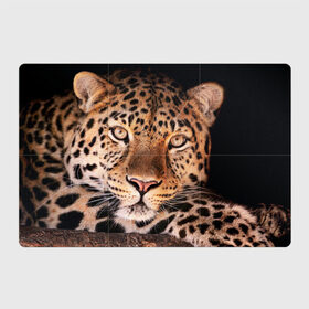 Магнитный плакат 3Х2 с принтом Леопард в Екатеринбурге, Полимерный материал с магнитным слоем | 6 деталей размером 9*9 см | гепард | грация | дикая кошка | добыча | животные | леопард | ловкость | опасность | пятна | хищник | ягуар