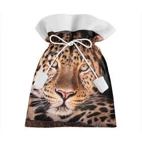 Подарочный 3D мешок с принтом Леопард в Екатеринбурге, 100% полиэстер | Размер: 29*39 см | гепард | грация | дикая кошка | добыча | животные | леопард | ловкость | опасность | пятна | хищник | ягуар