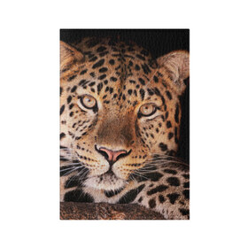 Обложка для паспорта матовая кожа с принтом Леопард в Екатеринбурге, натуральная матовая кожа | размер 19,3 х 13,7 см; прозрачные пластиковые крепления | Тематика изображения на принте: гепард | грация | дикая кошка | добыча | животные | леопард | ловкость | опасность | пятна | хищник | ягуар