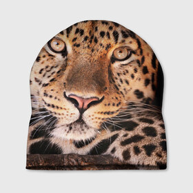 Шапка 3D с принтом Леопард в Екатеринбурге, 100% полиэстер | универсальный размер, печать по всей поверхности изделия | гепард | грация | дикая кошка | добыча | животные | леопард | ловкость | опасность | пятна | хищник | ягуар