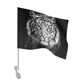 Флаг для автомобиля с принтом Красавец тигр в Екатеринбурге, 100% полиэстер | Размер: 30*21 см | джунгли | дикая кошка | животные | зверь | король | кровь | мясо | опасность | охотник | тигр | хищник | царь | цирк