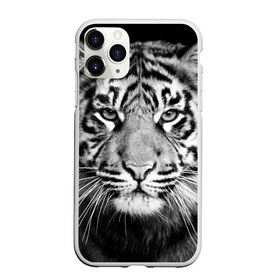Чехол для iPhone 11 Pro матовый с принтом Красавец тигр в Екатеринбурге, Силикон |  | джунгли | дикая кошка | животные | зверь | король | кровь | мясо | опасность | охотник | тигр | хищник | царь | цирк
