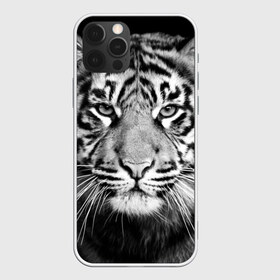 Чехол для iPhone 12 Pro Max с принтом Красавец тигр в Екатеринбурге, Силикон |  | Тематика изображения на принте: джунгли | дикая кошка | животные | зверь | король | кровь | мясо | опасность | охотник | тигр | хищник | царь | цирк