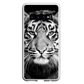 Чехол для Samsung Galaxy S10 с принтом Красавец тигр в Екатеринбурге, Силикон | Область печати: задняя сторона чехла, без боковых панелей | джунгли | дикая кошка | животные | зверь | король | кровь | мясо | опасность | охотник | тигр | хищник | царь | цирк