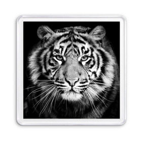Магнит 55*55 с принтом Красавец тигр в Екатеринбурге, Пластик | Размер: 65*65 мм; Размер печати: 55*55 мм | джунгли | дикая кошка | животные | зверь | король | кровь | мясо | опасность | охотник | тигр | хищник | царь | цирк