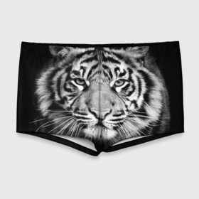 Мужские купальные плавки 3D с принтом Красавец тигр в Екатеринбурге, Полиэстер 85%, Спандекс 15% |  | джунгли | дикая кошка | животные | зверь | король | кровь | мясо | опасность | охотник | тигр | хищник | царь | цирк