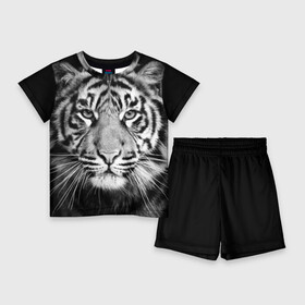 Детский костюм с шортами 3D с принтом Красавец тигр в Екатеринбурге,  |  | джунгли | дикая кошка | животные | зверь | король | кровь | мясо | опасность | охотник | тигр | хищник | царь | цирк
