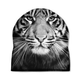 Шапка 3D с принтом Красавец тигр в Екатеринбурге, 100% полиэстер | универсальный размер, печать по всей поверхности изделия | Тематика изображения на принте: джунгли | дикая кошка | животные | зверь | король | кровь | мясо | опасность | охотник | тигр | хищник | царь | цирк