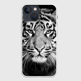 Чехол для iPhone 13 mini с принтом Красавец тигр в Екатеринбурге,  |  | джунгли | дикая кошка | животные | зверь | король | кровь | мясо | опасность | охотник | тигр | хищник | царь | цирк