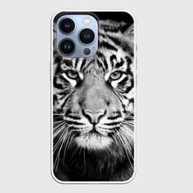 Чехол для iPhone 13 Pro с принтом Красавец тигр в Екатеринбурге,  |  | джунгли | дикая кошка | животные | зверь | король | кровь | мясо | опасность | охотник | тигр | хищник | царь | цирк