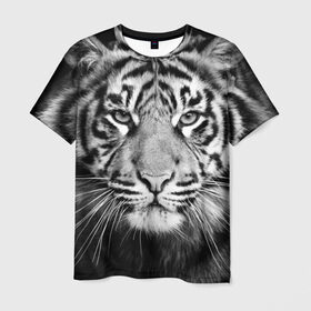 Мужская футболка 3D с принтом Красавец тигр в Екатеринбурге, 100% полиэфир | прямой крой, круглый вырез горловины, длина до линии бедер | джунгли | дикая кошка | животные | зверь | король | кровь | мясо | опасность | охотник | тигр | хищник | царь | цирк