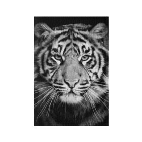 Обложка для паспорта матовая кожа с принтом Красавец тигр в Екатеринбурге, натуральная матовая кожа | размер 19,3 х 13,7 см; прозрачные пластиковые крепления | джунгли | дикая кошка | животные | зверь | король | кровь | мясо | опасность | охотник | тигр | хищник | царь | цирк