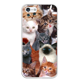 Чехол для iPhone 5/5S матовый с принтом Котики в Екатеринбурге, Силикон | Область печати: задняя сторона чехла, без боковых панелей | cat | cats | кот | котик | коты | котята