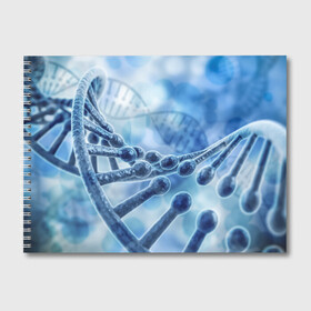 Альбом для рисования с принтом Молекула ДНК в Екатеринбурге, 100% бумага
 | матовая бумага, плотность 200 мг. | dna | биохимия | внешность | ген | генетика | днк | молекула | наследственность | спираль | способности | структура | характер | черты