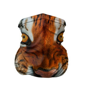 Бандана-труба 3D с принтом Амурский тигр в Екатеринбурге, 100% полиэстер, ткань с особыми свойствами — Activecool | плотность 150‒180 г/м2; хорошо тянется, но сохраняет форму | Тематика изображения на принте: амур | голова | животные | кошка | оскал | тигр