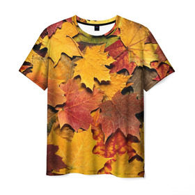 Мужская футболка 3D с принтом Осень на дворе в Екатеринбурге, 100% полиэфир | прямой крой, круглый вырез горловины, длина до линии бедер | бордовый | жёлтый | красный | листва | листья