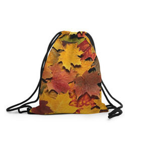 Рюкзак-мешок 3D с принтом Осень на дворе в Екатеринбурге, 100% полиэстер | плотность ткани — 200 г/м2, размер — 35 х 45 см; лямки — толстые шнурки, застежка на шнуровке, без карманов и подкладки | бордовый | жёлтый | красный | листва | листья