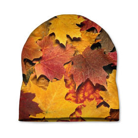 Шапка 3D с принтом Осень на дворе в Екатеринбурге, 100% полиэстер | универсальный размер, печать по всей поверхности изделия | бордовый | жёлтый | красный | листва | листья