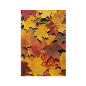 Обложка для паспорта матовая кожа с принтом Осень на дворе в Екатеринбурге, натуральная матовая кожа | размер 19,3 х 13,7 см; прозрачные пластиковые крепления | бордовый | жёлтый | красный | листва | листья
