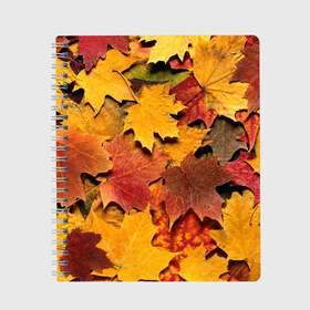 Тетрадь с принтом Осень на дворе в Екатеринбурге, 100% бумага | 48 листов, плотность листов — 60 г/м2, плотность картонной обложки — 250 г/м2. Листы скреплены сбоку удобной пружинной спиралью. Уголки страниц и обложки скругленные. Цвет линий — светло-серый
 | Тематика изображения на принте: бордовый | жёлтый | красный | листва | листья