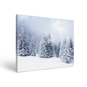 Холст прямоугольный с принтом Зимняя пора в Екатеринбурге, 100% ПВХ |  | Тематика изображения на принте: вьюга | горы | зима | лес | метель | мороз | пейзаж | пурга | снег | снегопад | сосулька | стужа | сугроб | холод