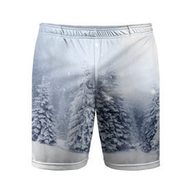 Мужские шорты 3D спортивные с принтом Зимняя пора в Екатеринбурге,  |  | вьюга | горы | зима | лес | метель | мороз | пейзаж | пурга | снег | снегопад | сосулька | стужа | сугроб | холод