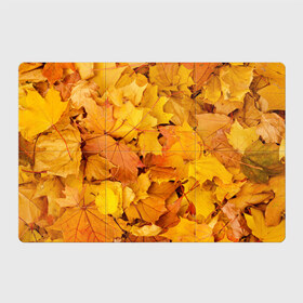 Магнитный плакат 3Х2 с принтом Золотая листва в Екатеринбурге, Полимерный материал с магнитным слоем | 6 деталей размером 9*9 см | жёлтый осень | золото | листья