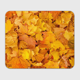 Коврик прямоугольный с принтом Золотая листва в Екатеринбурге, натуральный каучук | размер 230 х 185 мм; запечатка лицевой стороны | жёлтый осень | золото | листья
