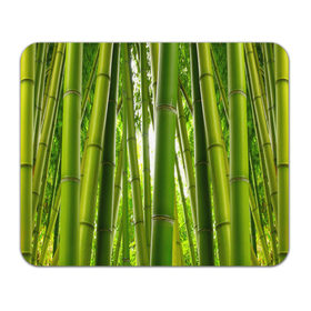 Коврик прямоугольный с принтом Бамбук в Екатеринбурге, натуральный каучук | размер 230 х 185 мм; запечатка лицевой стороны | бамбук | зеленая | растения