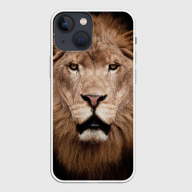 Чехол для iPhone 13 mini с принтом Царь зверей в Екатеринбурге,  |  | власть | дикая кошка | животное | король джунглей | лев | львица | мощь | мудрость | охотник | сила | хитрость | хищник | царь зверей