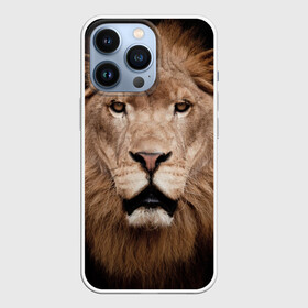Чехол для iPhone 13 Pro с принтом Царь зверей в Екатеринбурге,  |  | власть | дикая кошка | животное | король джунглей | лев | львица | мощь | мудрость | охотник | сила | хитрость | хищник | царь зверей