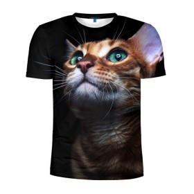 Мужская футболка 3D спортивная с принтом Милый котик в Екатеринбурге, 100% полиэстер с улучшенными характеристиками | приталенный силуэт, круглая горловина, широкие плечи, сужается к линии бедра | кошка | темный | фото