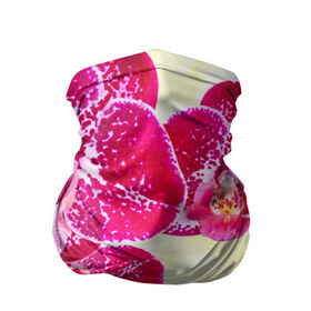 Бандана-труба 3D с принтом Красивые цветы в Екатеринбурге, 100% полиэстер, ткань с особыми свойствами — Activecool | плотность 150‒180 г/м2; хорошо тянется, но сохраняет форму | божественный | букет | великолепный | восхитительный | душистый аромат | красивый | красота | невероятный | неописуемый | приятный запах | растение | фауна | цветок | цветы | шикарный