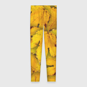 Леггинсы 3D с принтом Жёлтые листья в Екатеринбурге, 80% полиэстер, 20% эластан | Эластичный пояс, зауженные к низу, низкая посадка | жёлтый | золотой | клён | красота | листва | листья | наряд | осень | осина | покров | природа