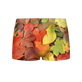 Мужские трусы 3D с принтом Осенние листья в Екатеринбурге, 50% хлопок, 50% полиэстер | классическая посадка, на поясе мягкая тканевая резинка | жёлтый | красный | листва | оранжевый | осень