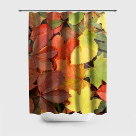 Штора 3D для ванной с принтом Осенние листья в Екатеринбурге, 100% полиэстер | плотность материала — 100 г/м2. Стандартный размер — 146 см х 180 см. По верхнему краю — пластиковые люверсы для креплений. В комплекте 10 пластиковых колец | жёлтый | красный | листва | оранжевый | осень