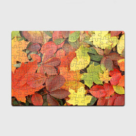Пазл магнитный 126 элементов с принтом Осенние листья в Екатеринбурге, полимерный материал с магнитным слоем | 126 деталей, размер изделия —  180*270 мм | жёлтый | красный | листва | оранжевый | осень