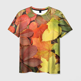 Мужская футболка 3D с принтом Осенние листья в Екатеринбурге, 100% полиэфир | прямой крой, круглый вырез горловины, длина до линии бедер | жёлтый | красный | листва | оранжевый | осень