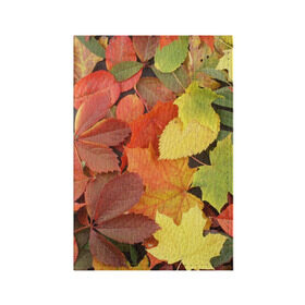 Обложка для паспорта матовая кожа с принтом Осенние листья в Екатеринбурге, натуральная матовая кожа | размер 19,3 х 13,7 см; прозрачные пластиковые крепления | жёлтый | красный | листва | оранжевый | осень