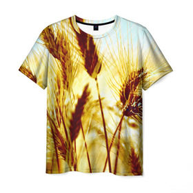Мужская футболка 3D с принтом Колос в Екатеринбурге, 100% полиэфир | прямой крой, круглый вырез горловины, длина до линии бедер | желтый | злаки | поле | пшеница