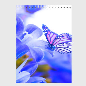Скетчбук с принтом Бабочки в Екатеринбурге, 100% бумага
 | 48 листов, плотность листов — 100 г/м2, плотность картонной обложки — 250 г/м2. Листы скреплены сверху удобной пружинной спиралью | бабочки | красота | природа | синяя | цветы