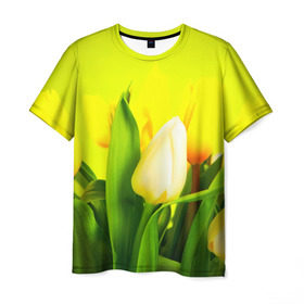 Мужская футболка 3D с принтом Тюльпаны в Екатеринбурге, 100% полиэфир | прямой крой, круглый вырез горловины, длина до линии бедер | букет | поле | природа | тюльпаны | цветы