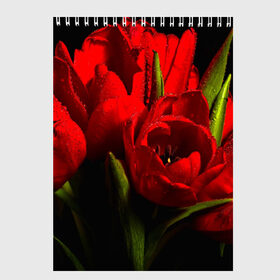 Скетчбук с принтом Тюльпаны в Екатеринбурге, 100% бумага
 | 48 листов, плотность листов — 100 г/м2, плотность картонной обложки — 250 г/м2. Листы скреплены сверху удобной пружинной спиралью | букет | красота | поле | природа | тюльпаны | цветы