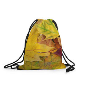 Рюкзак-мешок 3D с принтом Осенние листья в Екатеринбурге, 100% полиэстер | плотность ткани — 200 г/м2, размер — 35 х 45 см; лямки — толстые шнурки, застежка на шнуровке, без карманов и подкладки | Тематика изображения на принте: жёлтый | зелёный | клён | листва