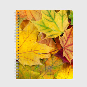 Тетрадь с принтом Осенние листья в Екатеринбурге, 100% бумага | 48 листов, плотность листов — 60 г/м2, плотность картонной обложки — 250 г/м2. Листы скреплены сбоку удобной пружинной спиралью. Уголки страниц и обложки скругленные. Цвет линий — светло-серый
 | жёлтый | зелёный | клён | листва