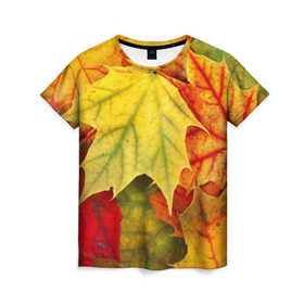 Женская футболка 3D с принтом Кленовые листья в Екатеринбурге, 100% полиэфир ( синтетическое хлопкоподобное полотно) | прямой крой, круглый вырез горловины, длина до линии бедер | жёлтый | зелёный | красный | листва | оранжевый | осень