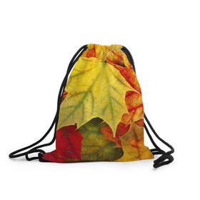 Рюкзак-мешок 3D с принтом Кленовые листья в Екатеринбурге, 100% полиэстер | плотность ткани — 200 г/м2, размер — 35 х 45 см; лямки — толстые шнурки, застежка на шнуровке, без карманов и подкладки | жёлтый | зелёный | красный | листва | оранжевый | осень