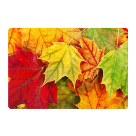 Магнитный плакат 3Х2 с принтом Кленовые листья в Екатеринбурге, Полимерный материал с магнитным слоем | 6 деталей размером 9*9 см | жёлтый | зелёный | красный | листва | оранжевый | осень